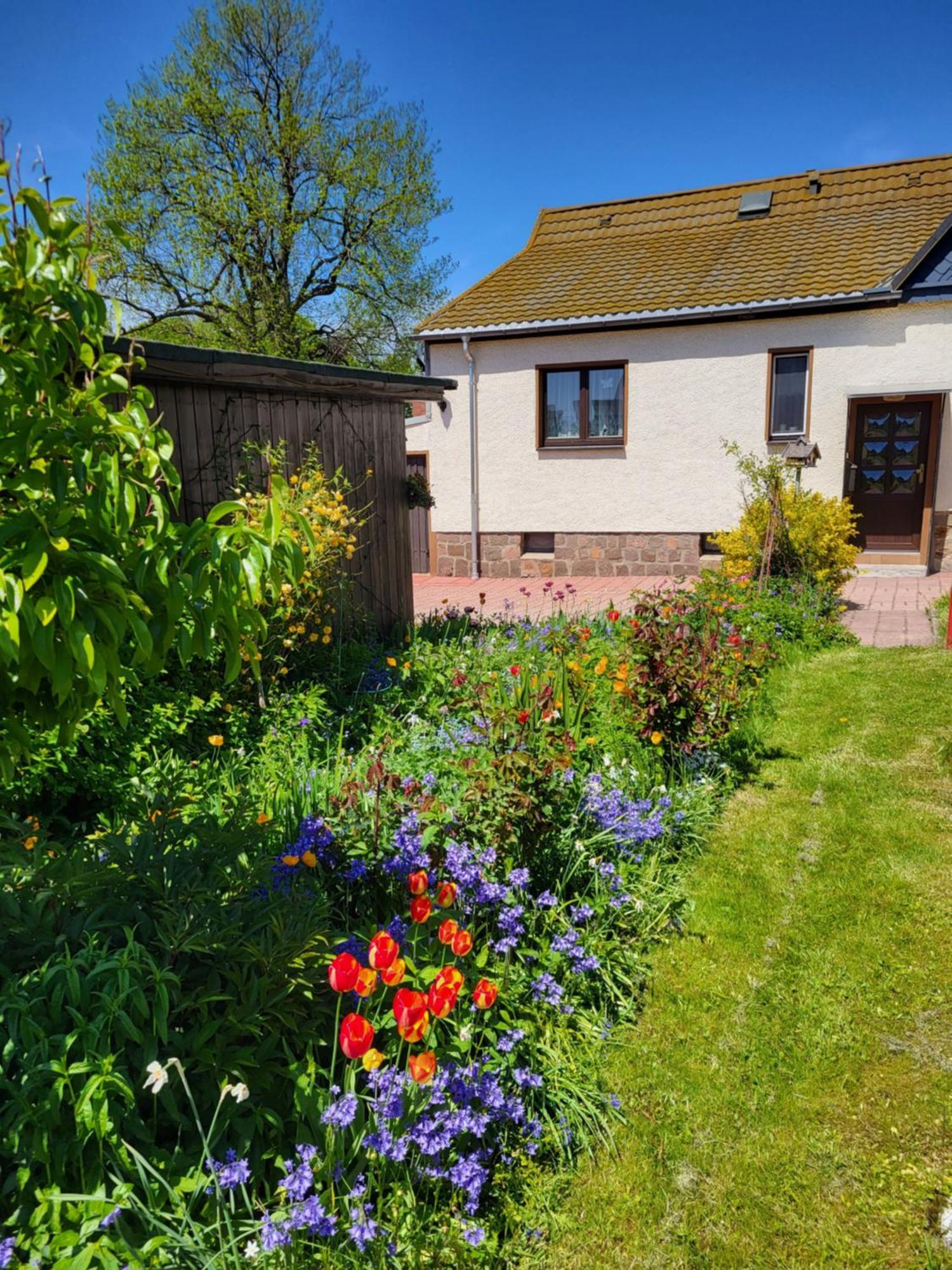 Ferienhaus Keppler Im Erzgebirge Sayda Kültér fotó